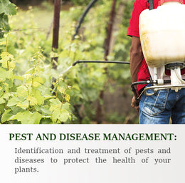 Pest and Disease Management