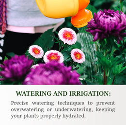 Watering and Irrigation
