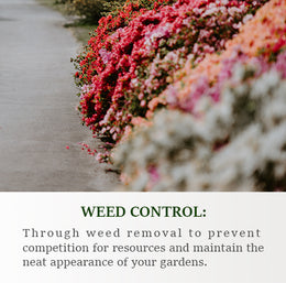 Weed control