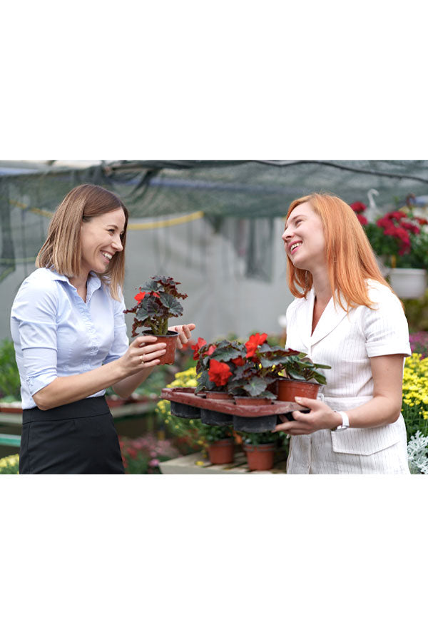 Customer exchanging an old plant for a new one – Plant Exchange Program UAE at PlantsWorld.ae