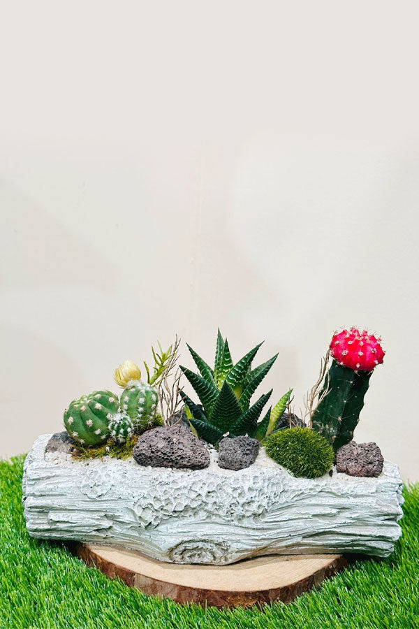 Handcrafted Succulent Arrangement in Ceramic Pot – Indoor Tabletop Décor