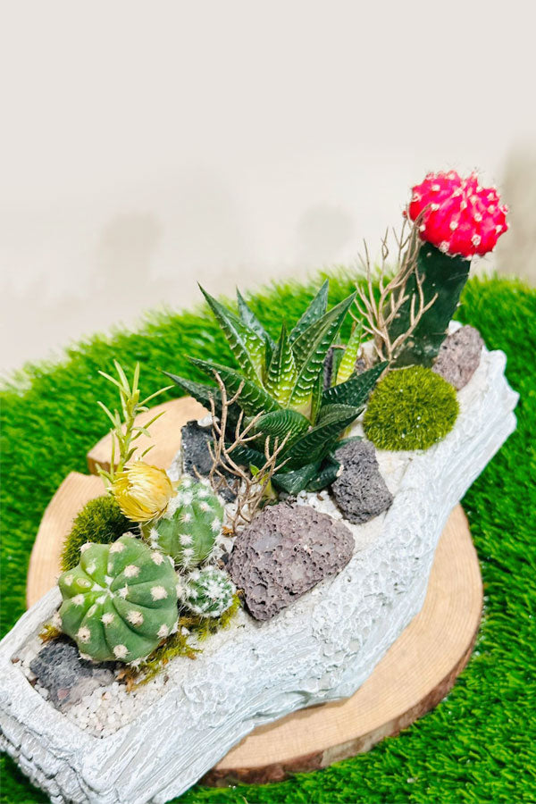 Handcrafted Succulent Arrangement in Ceramic Pot – Indoor Tabletop Décor
