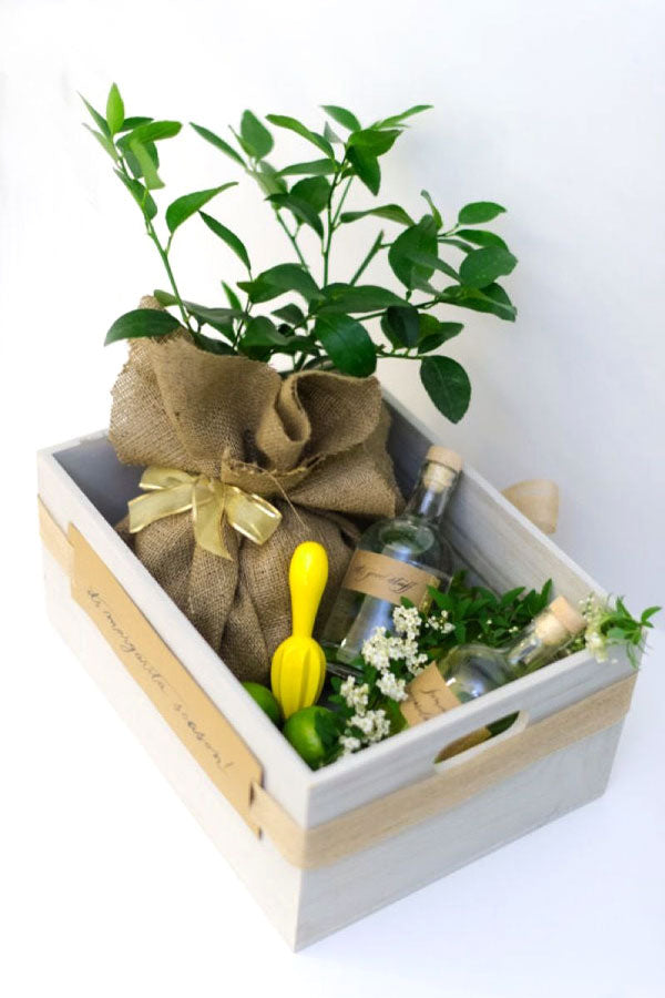Seasonal Customer Green Hamper