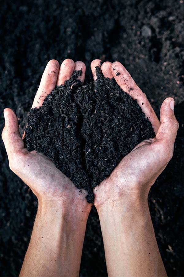 Premium Soil - Add On
