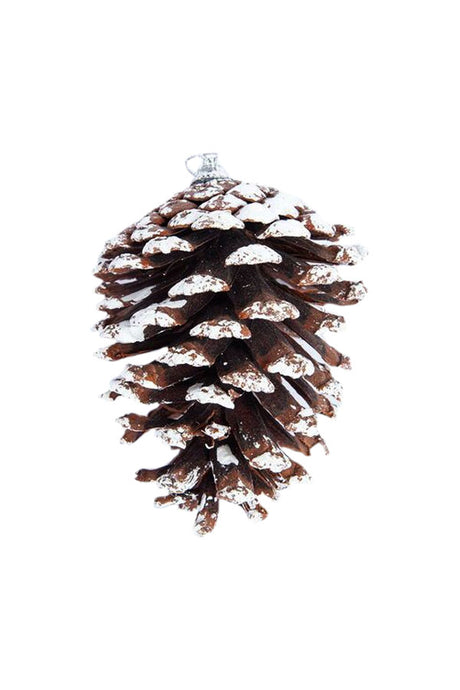 Snow Tipped Christmas Natural Pine Cones
