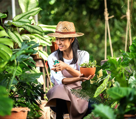 Women checking vibrant green plants