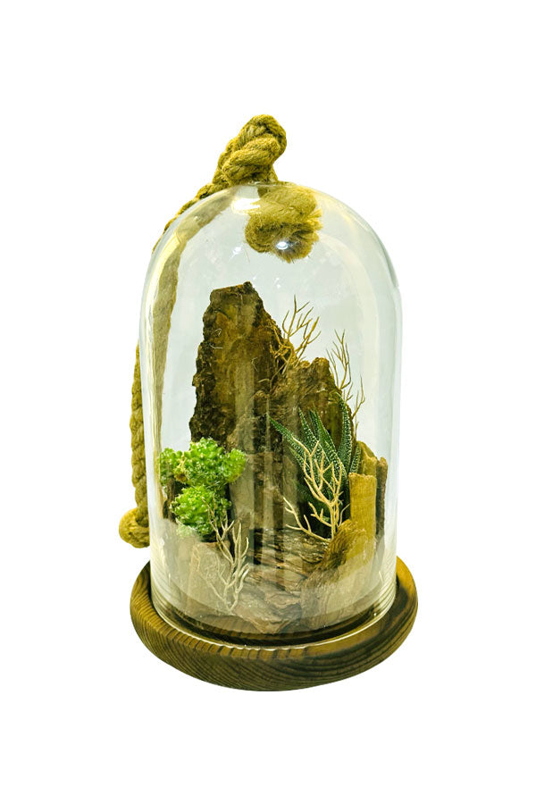 The Mountain Terrarium - Natural landscape-inspired terrarium with succulents and moss by Plantsworld.ae