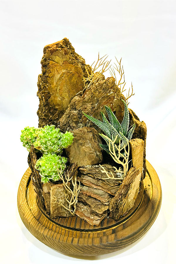 The Mountain Terrarium