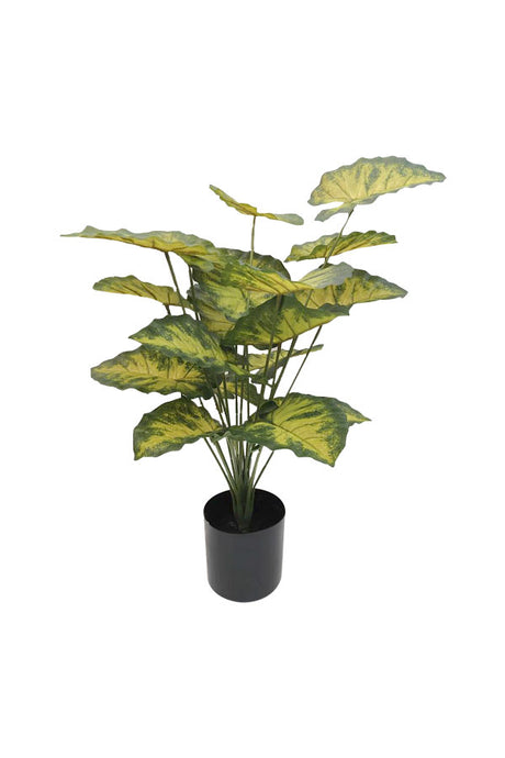 Artificial Caladium Plant with Colorful Heart-Shaped Leaves