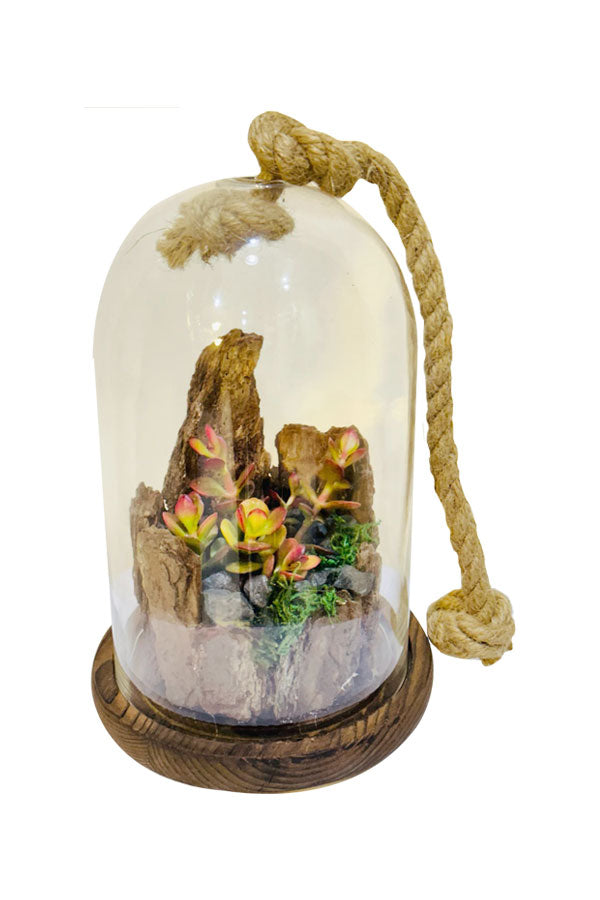 Verdant Vignettes - Artistic terrarium with lush greenery and decorative elements by Plantsworld.ae