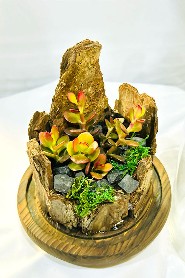 Verdant Vignettes - Terrarium