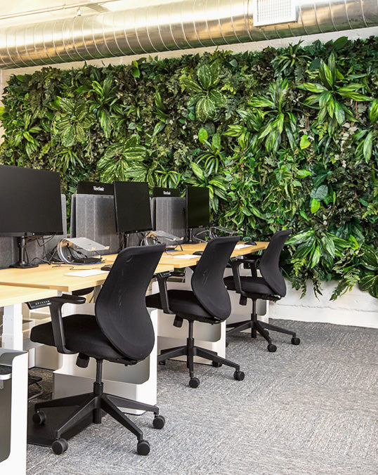 Vertical Garden - Office