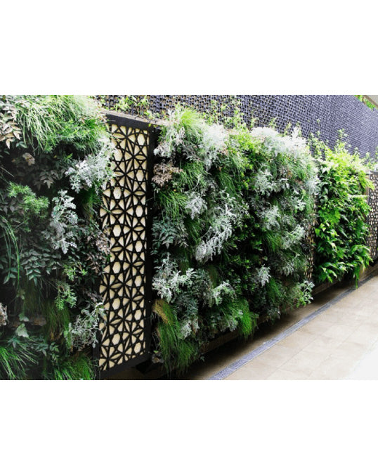 Vertical Garden – Villa Edition – Green Wall Design for Villas in Dubai