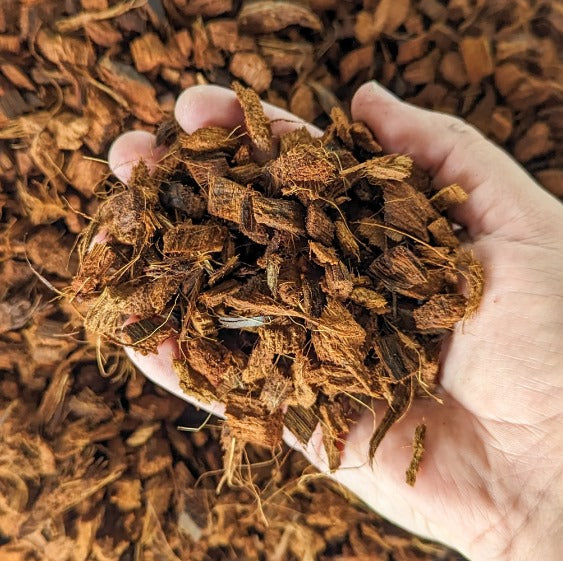 Coconut Chip for Plant Care - Improve Plant Growth and Health