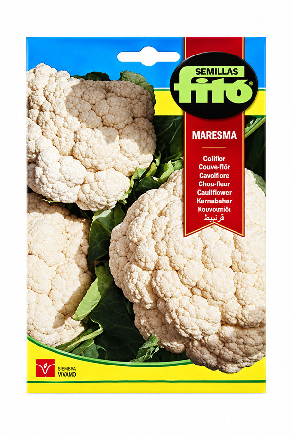 Fito Cauliflower Maresma (4 g)
