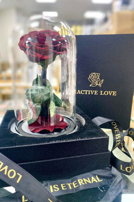 Luxury vine-wrapped red preserved forever rose in elegant gift box – romantic gift UAE