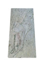 Garden Stepping Stone Rectangle Ash for Pathways & Landscaping - PlantsWorld.ae