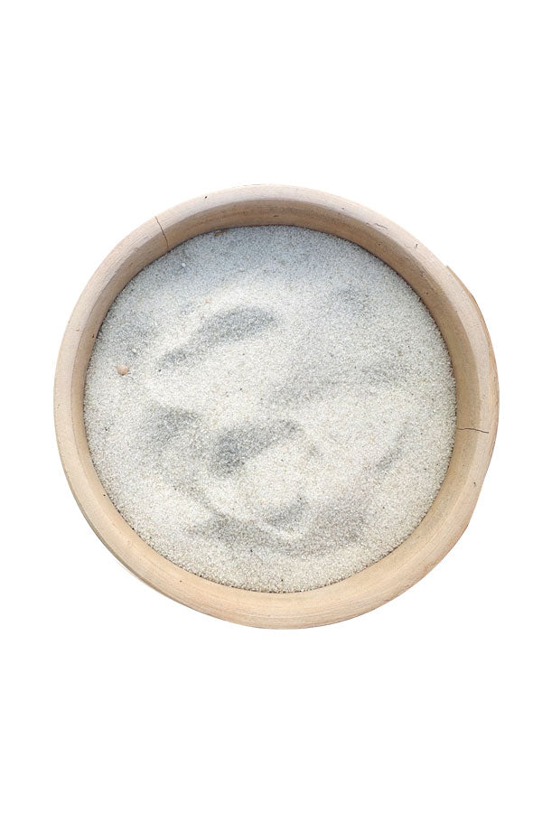 Decorative Beach Sand for Plant careplantsworld.ae Plantsworld.ae