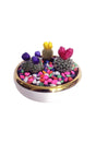 Decorative Cactus Combo in Round Vase – Stylish and low-maintenance cactus plant arrangement in a modern, transparent vase for home décor at Plantsworld.ae.