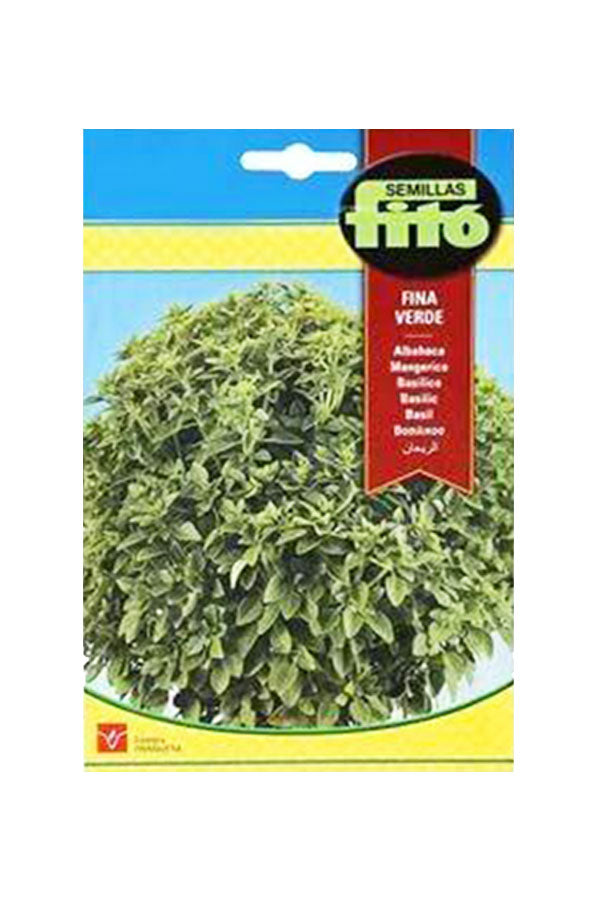 Fito Bean Maravilla De Venecia (60 g) seeds for growing healthy and abundant beans in UAE gardens, available at Plantsworld.ae
