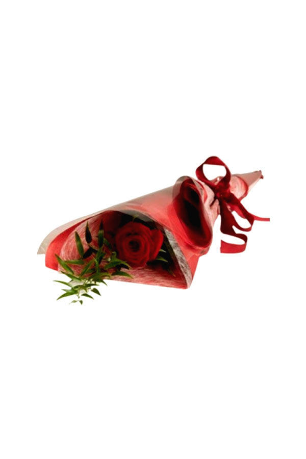 Women's Day & Mother's Day Gift-Beauty Of Love