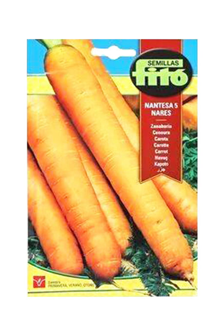 Fito Carrot Nantesa 5 Nares (15 gm) seeds for growing sweet, crunchy carrots, available at Plantsworld.ae
