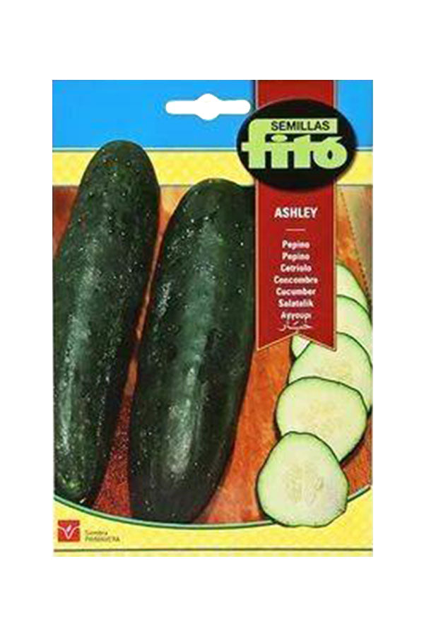 Fito Cucumber Ashley seeds for growing fresh and crisp cucumbers in your garden. Available at Plantsworld.ae
