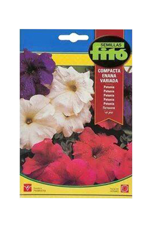 Fito Dwarf Petunia Compact Mix Flower Seeds for vibrant and compact blooms in your garden or containers, available at Plantsworld.ae