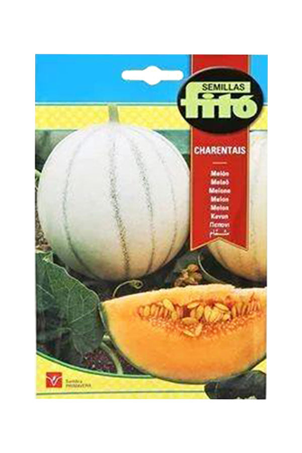 Fito Melon Charentais (10 g) seeds for growing sweet, aromatic melons in your garden, available at Plantsworld.ae