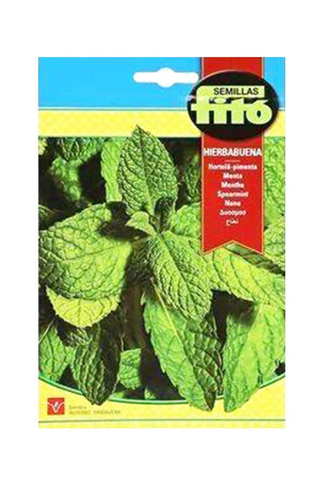 Fito Peppermint Seeds (200 mg) for growing aromatic, refreshing peppermint in your garden or containers. Available at Plantsworld.ae