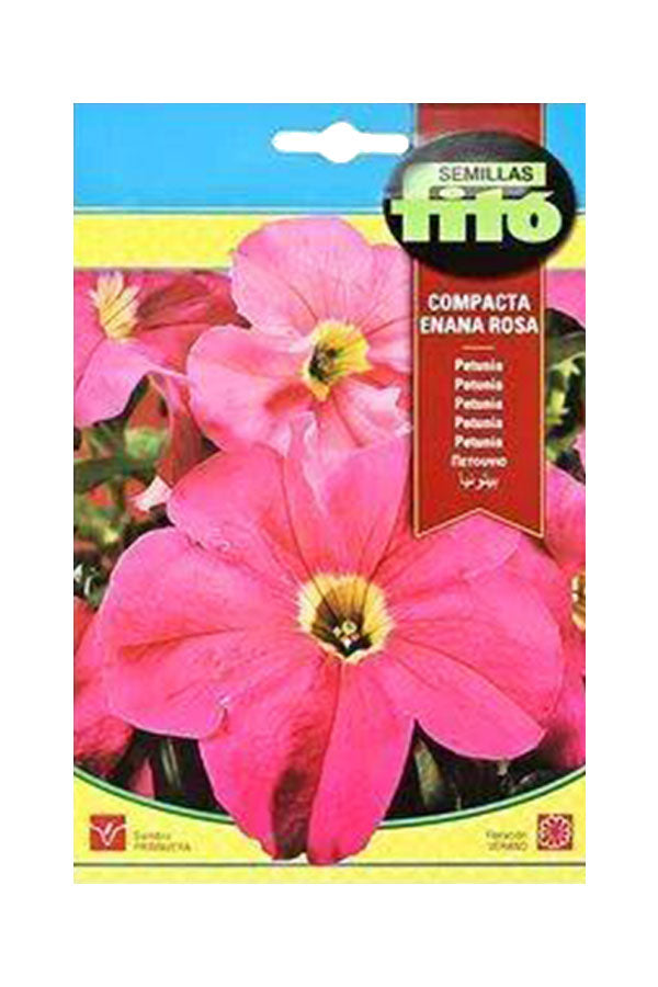 Fito Petunia 'Dwarf' Compact (600 mg, Pink) seeds for vibrant and easy-to-grow pink flowers. Available at Plantsworld.ae