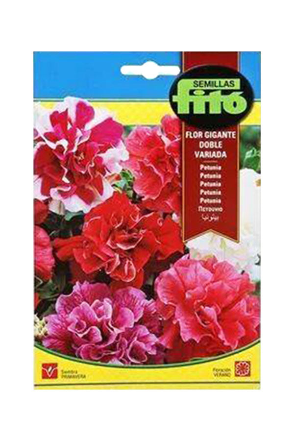Fito Petunia Multiflora Hybrid Double Mixed (50 mg) seeds for vibrant, double-flowered petunias. Available at Plantsworld.ae for your garden