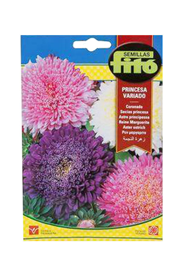 Fito Princesa Variado Mixed Aster Ostrich Seeds (2 g) for vibrant and colorful aster flowers, perfect for your garden. Available at Plantsworld.ae