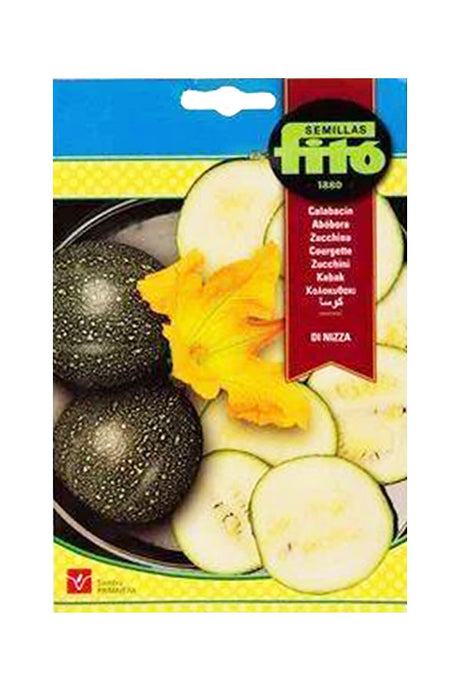 Fito Seed Calabacin Zucchini (10 g) for a fresh and bountiful zucchini harvest. Perfect for home gardens. Available at Plantsworld.ae