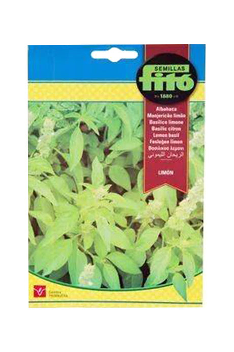 Fito Seed Lemon Basil (4 g) – Aromatic basil variety with a citrus scent, perfect for home gardening and culinary use. Available at Plantsworld.ae
