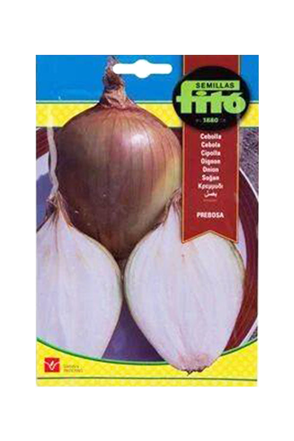 Fito Seed Onion Prebosa (7 g) – High-quality onion seeds for a bountiful garden harvest. Perfect for UAE gardens. Available at Plantsworld.ae