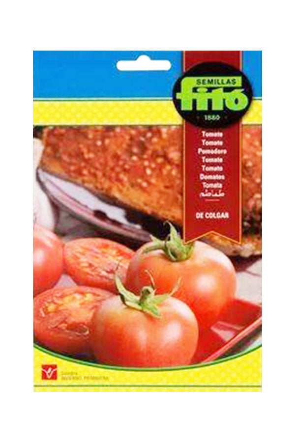 Fito Seed Pomodoro Tomato (1 g) – High-quality tomato seeds for a homegrown, fresh tomato harvest. Perfect for UAE gardens. Available at Plantsworld.ae