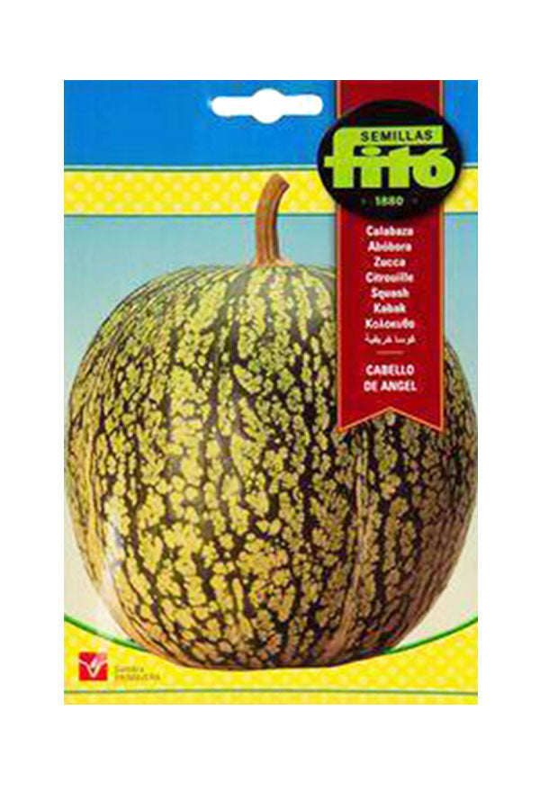 Fito Seed Squash Cabello De Angel (10 g) – Premium squash seeds for a sweet, homegrown squash harvest. Available at Plantsworld.ae