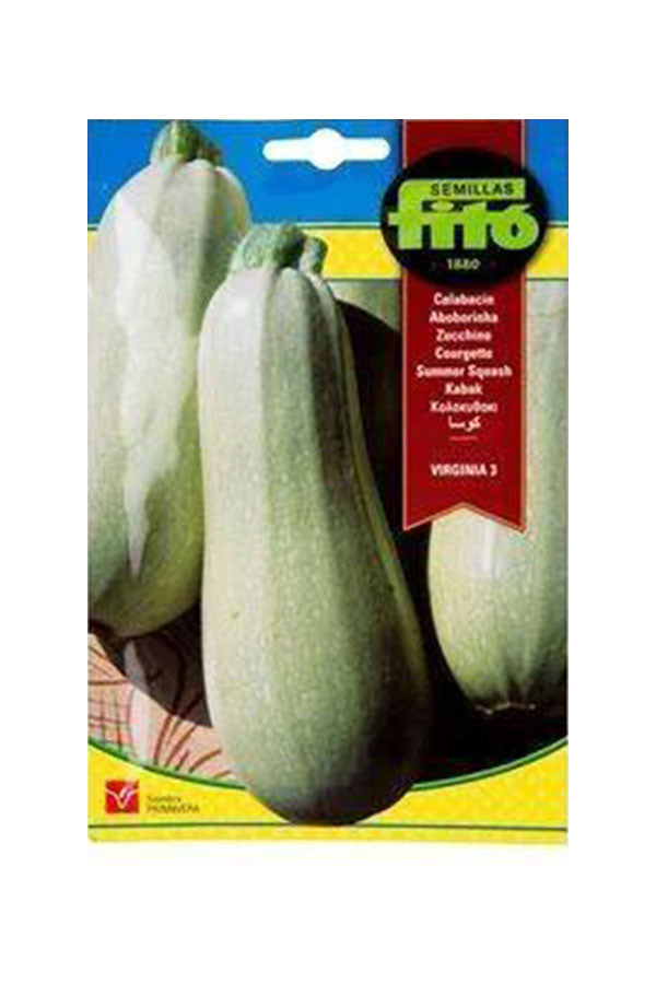 Fito Seed Summer Squash Virginia (5 g) – High-quality summer squash seeds for easy gardening and fresh produce. Available at Plantsworld.ae.