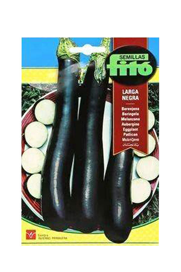 Fito - Larga Eggplant Negra Seeds - High-Quality Eggplant Seeds