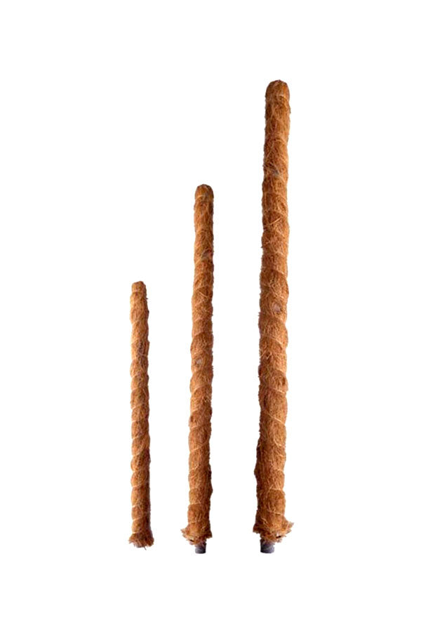 Moss Pole - Plant Care