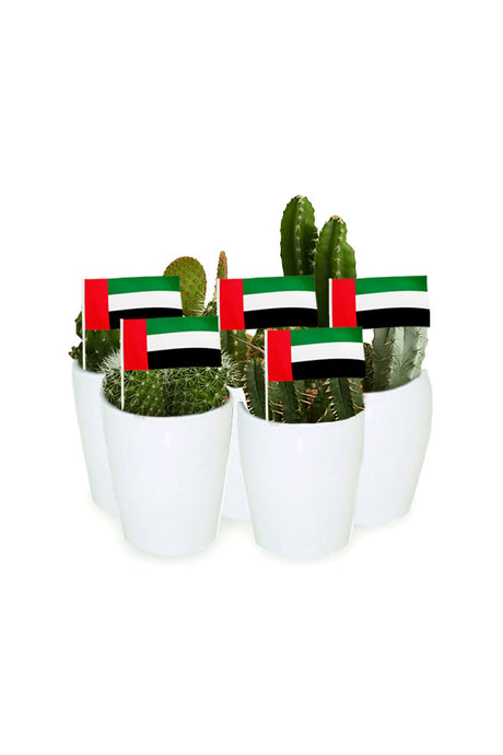National Day Gift - Cactus Collection (6 Pcs) in stylish ceramic pots, a unique and sustainable gift idea from Plantsworld.ae.