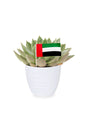 National Day Gift - Echeveria OVR Succulent in Decorative Pot