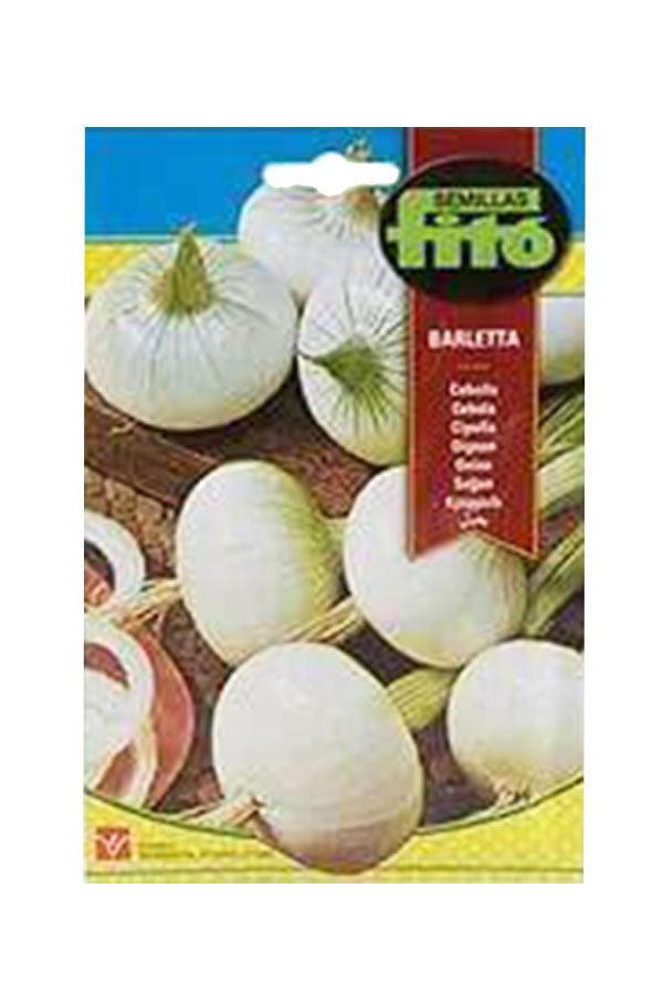 Fito - Onion Barletta Seed (7g) - Premium Onion Seeds for UAE Gardens