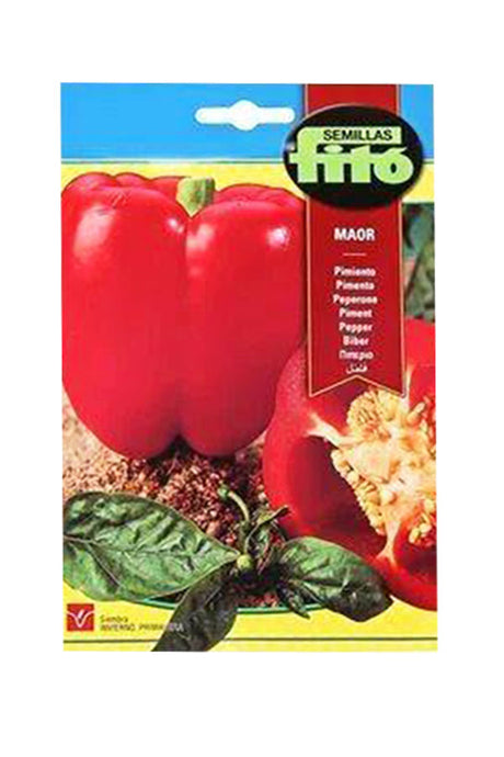 Fito - Pepper Maor Seed (3 g) - Premium Pepper Seeds for UAE Gardens