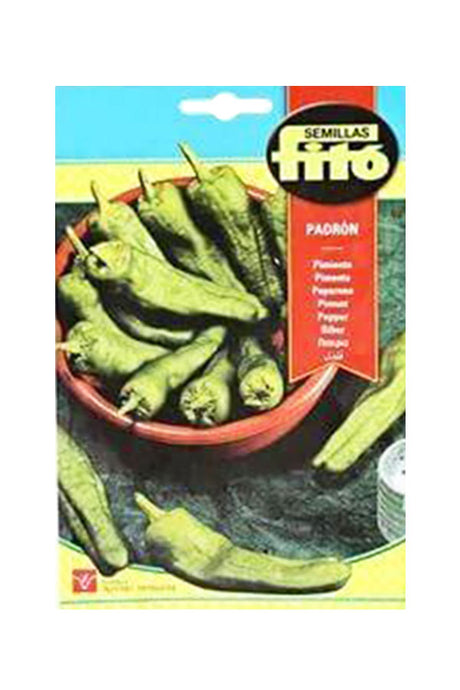 Fito - Pepper Padron Seeds (3 g) - Premium Seeds for UAE Gardens