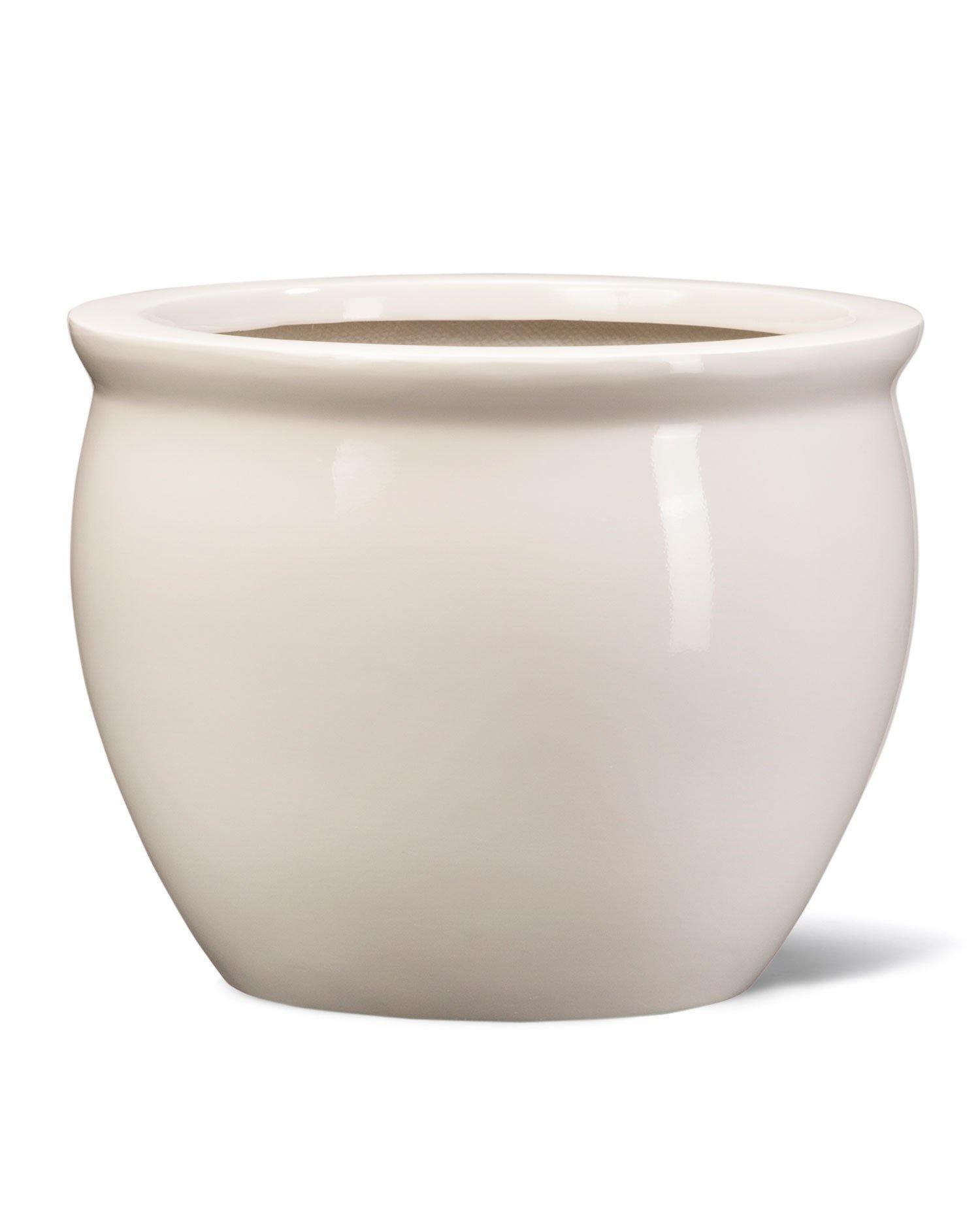 GPR Fish Bowl - GPR Fish Bowl - Plantsworld.ae