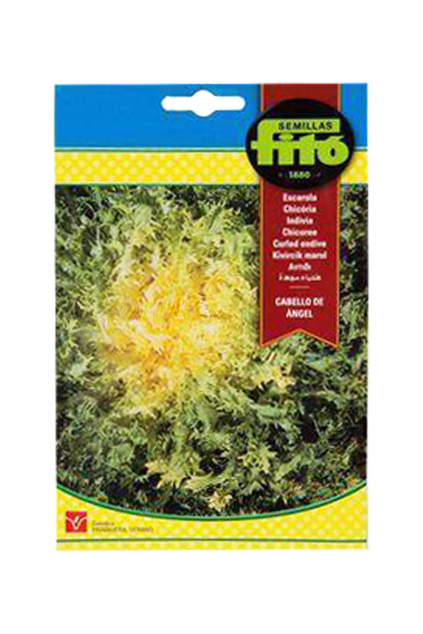 Fito - Seed Kivircik Marul Lettuce (8 g) - Premium Lettuce Seeds for UAE Gardens