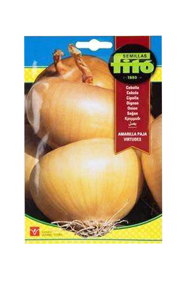 Fito - Seed Onion Amarilla Paja Virtudes (7 g) - Premium Onion Seeds for UAE Gardens