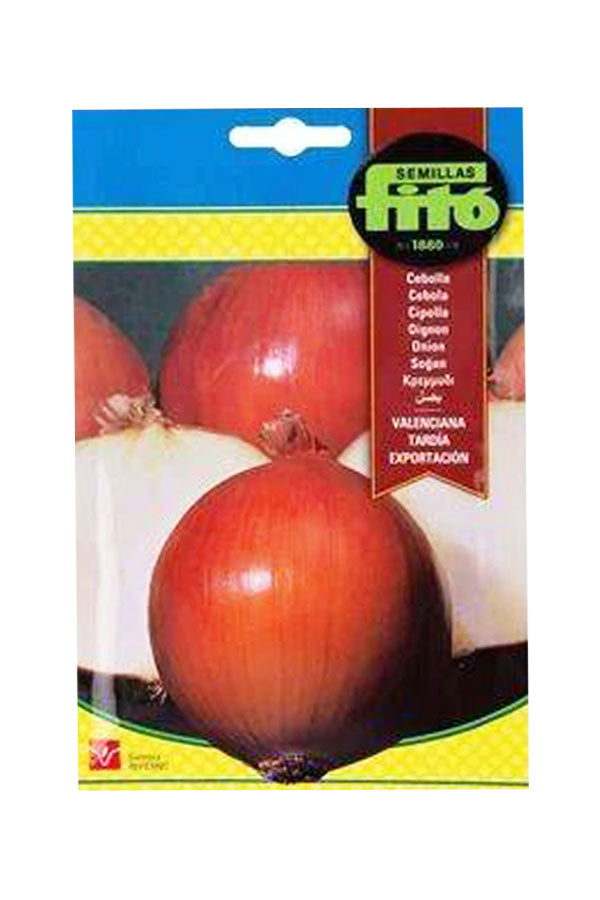 Fito - Seed Onion Valenciana (7 g) - Premium Onion Seeds for UAE Gardens